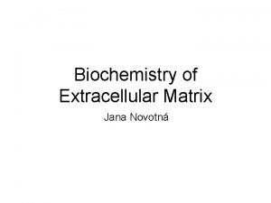 Biochemistry of Extracellular Matrix Jana Novotn Composition of