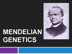 MENDELIAN GENETICS Mendel laid the groundwork for genetics