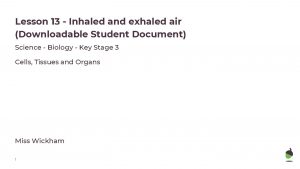 Lesson 13 Inhaled and exhaled air Downloadable Student