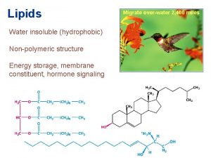 Lipids Water insoluble hydrophobic Nonpolymeric structure Energy storage