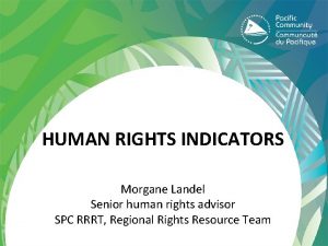 HUMAN RIGHTS INDICATORS Morgane Landel Senior human rights