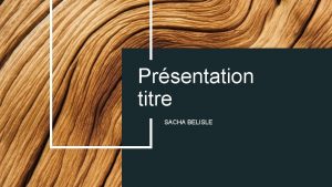 Prsentation titre SACHA BELISLE Ordre du jour Introduction