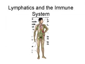 Lymphatics and the Immune System Did you Know