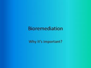 Bioremediation Why its important What is bioremediation Microorganisms