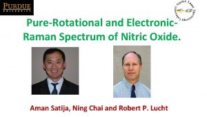 PureRotational and Electronic Raman Spectrum of Nitric Oxide