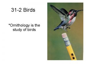 31 2 Birds Ornithology is the study of