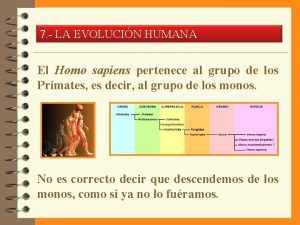 7 LA EVOLUCIN HUMANA El Homo sapiens pertenece