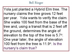 Bell Ringer Yola just planted a Hybrid Elm