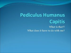 Pediculus Humanus Capitis What is that What does