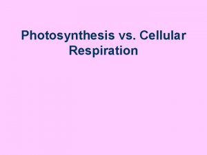 Photosynthesis vs Cellular Respiration Photosynthesis Done by autotrophs