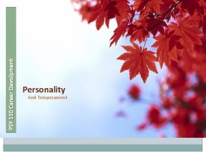 PSY 110 Career Devolpment Personality And Temperament Personality