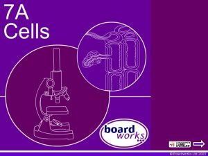 Boardworks Ltd 2003 Teachers Notes A slide contains