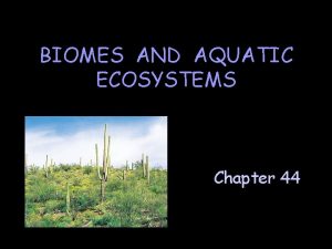 BIOMES AND AQUATIC ECOSYSTEMS Chapter 44 A Biomes