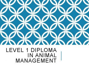 LEVEL 1 DIPLOMA IN ANIMAL MANAGEMENT AIMS AND