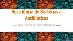 Resistncia de Bactrias a Antibiticos Ayrton Soares Carolina