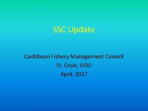 SSC Update Caribbean Fishery Management Council St Croix