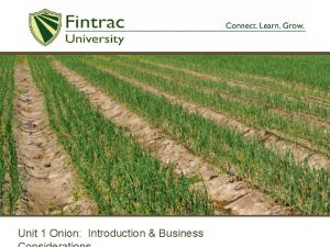 Unit 1 Onion Introduction Business Characteristics Onion Allium