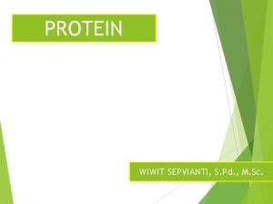 PROTEIN WIWIT SEPVIANTI S Pd M Sc Protein