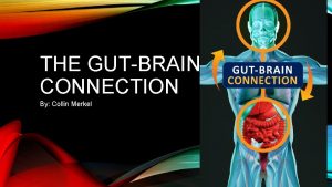 THE GUTBRAIN CONNECTION By Collin Merkel GENERAL EFFECTS