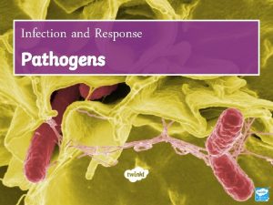 Infection and Response Pathogens Learning Objective To understand