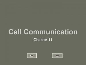 Cell Communication Chapter 11 Importance Celltocell signaling is