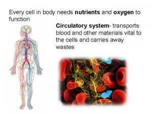 Every cell in body needs nutrients and oxygen