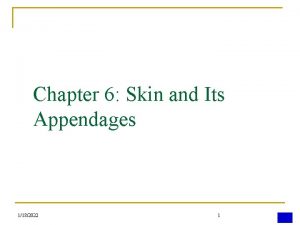 Chapter 6 Skin and Its Appendages 1182022 1