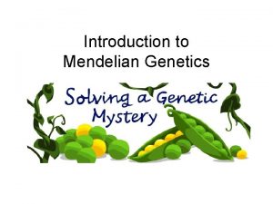 Introduction to Mendelian Genetics Introduction to Mendelian Genetics