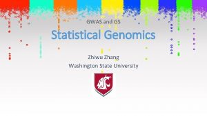 GWAS and GS Statistical Genomics Zhiwu Zhang Washington