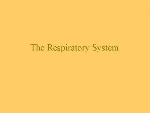 The Respiratory System Overview Respiratory System nose passageways