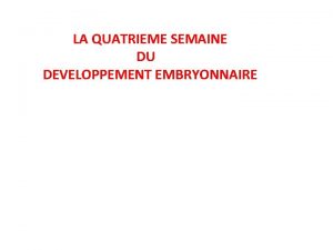 LA QUATRIEME SEMAINE DU DEVELOPPEMENT EMBRYONNAIRE 1 DELIMITATION