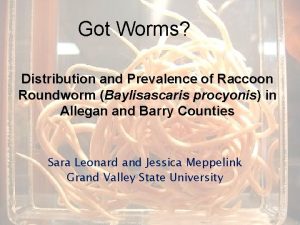 Got Worms Distribution and Prevalence of Raccoon Roundworm