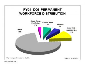 FY 04 DOI PERMANENT WORKFORCE DISTRIBUTION Total permanent