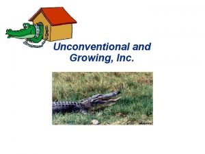 Unconventional and Growing Inc Accrual Concept v Accrual