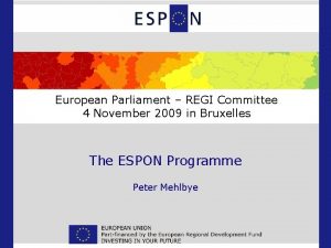 European Parliament REGI Committee 4 November 2009 in