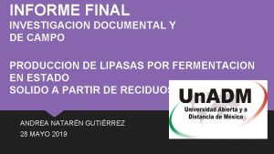 INFORME FINAL INVESTIGACION DOCUMENTAL Y DE CAMPO PRODUCCION