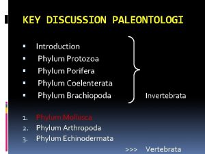 KEY DISCUSSION PALEONTOLOGI Introduction Phylum Protozoa Phylum Porifera