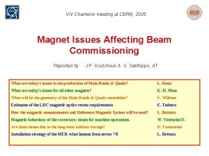 XIV Chamonix meeting at CERN 2005 Magnet Issues XIV Chamonix meeting at CERN 2005 Magnet Issues