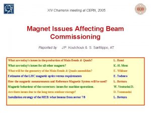 XIV Chamonix meeting at CERN 2005 Magnet Issues