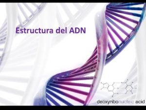 Estructura del ADN Estructura del ADN James Watson