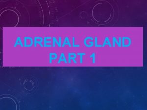 ADRENAL GLAND PART 1 The adrenal glands are