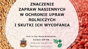 ZNACZENIE ZAPRAW NASIENNYCH W OCHRONIE UPRAW ROLNICZYCH I