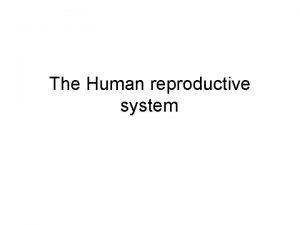 The Human reproductive system Asexual Reproduction Asexual reproduction