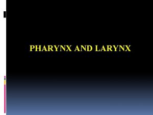 PHARYNX AND LARYNX The Pharynx Is fibromusculomembranous tube