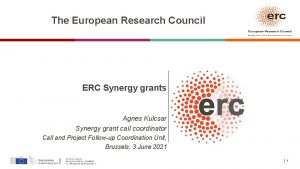 The European Research Council ERC Synergy grants Agnes