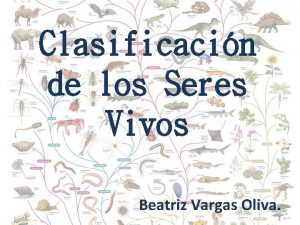 Clasificacin de los Seres Vivos Beatriz Vargas Oliva