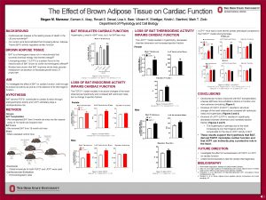 The Effect of Brown Adipose Tissue on Cardiac