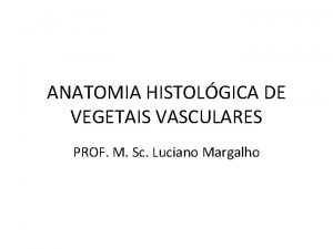 ANATOMIA HISTOLGICA DE VEGETAIS VASCULARES PROF M Sc