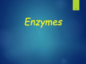 1 Enzymes What Are Enzymes Most enzymes are