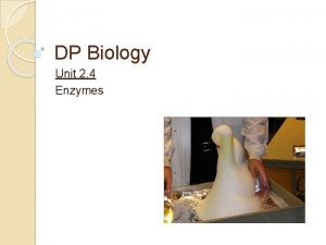 DP Biology Unit 2 4 Enzymes Enzymes Enzymes
